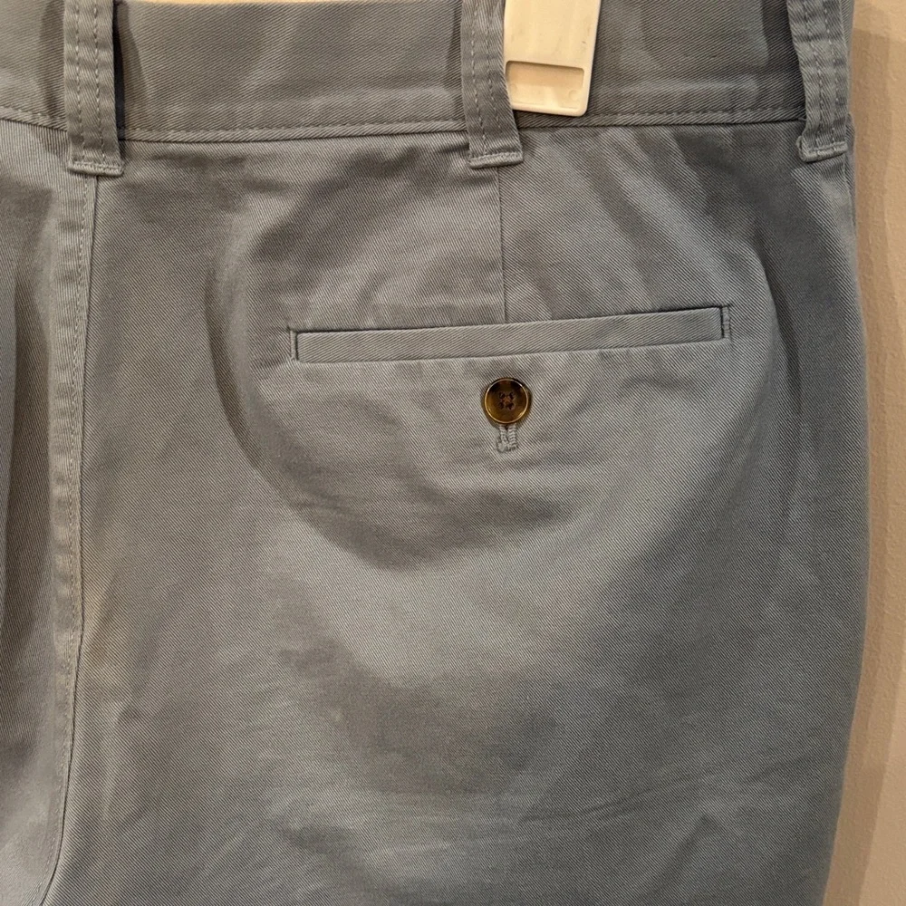 J. Crew Light Blue Flat Front Shorts 9
